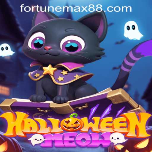 Unlocking the Mysteries of HalloweenMeow: A Deep Dive into FortuneMax